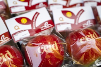 Frederic_Cote_Rentree_CCID_009_web