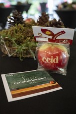 Frederic_Cote_Rentree_CCID_040_web