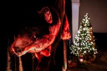 FCote_Batisseur_Pepin_005